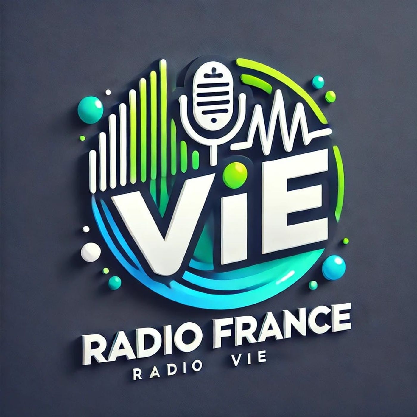 Projet pour la France et  la vie episode artwork