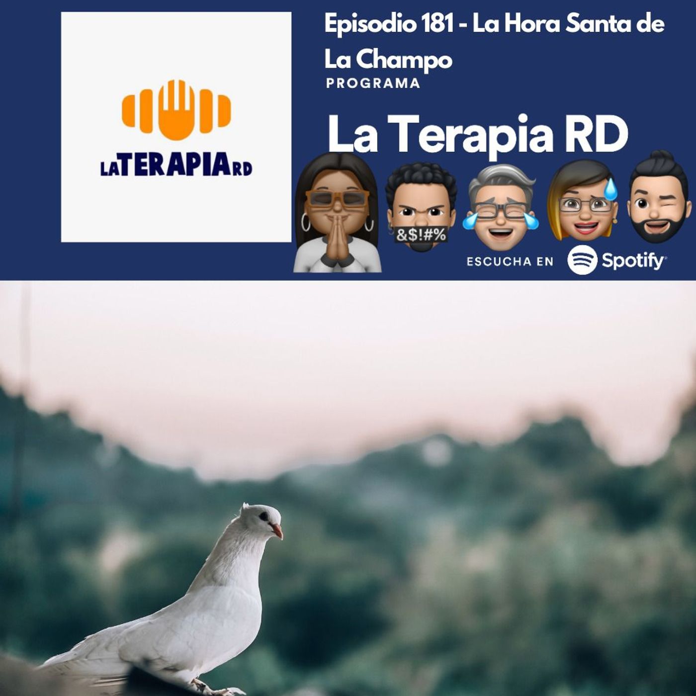 La Terapia RD