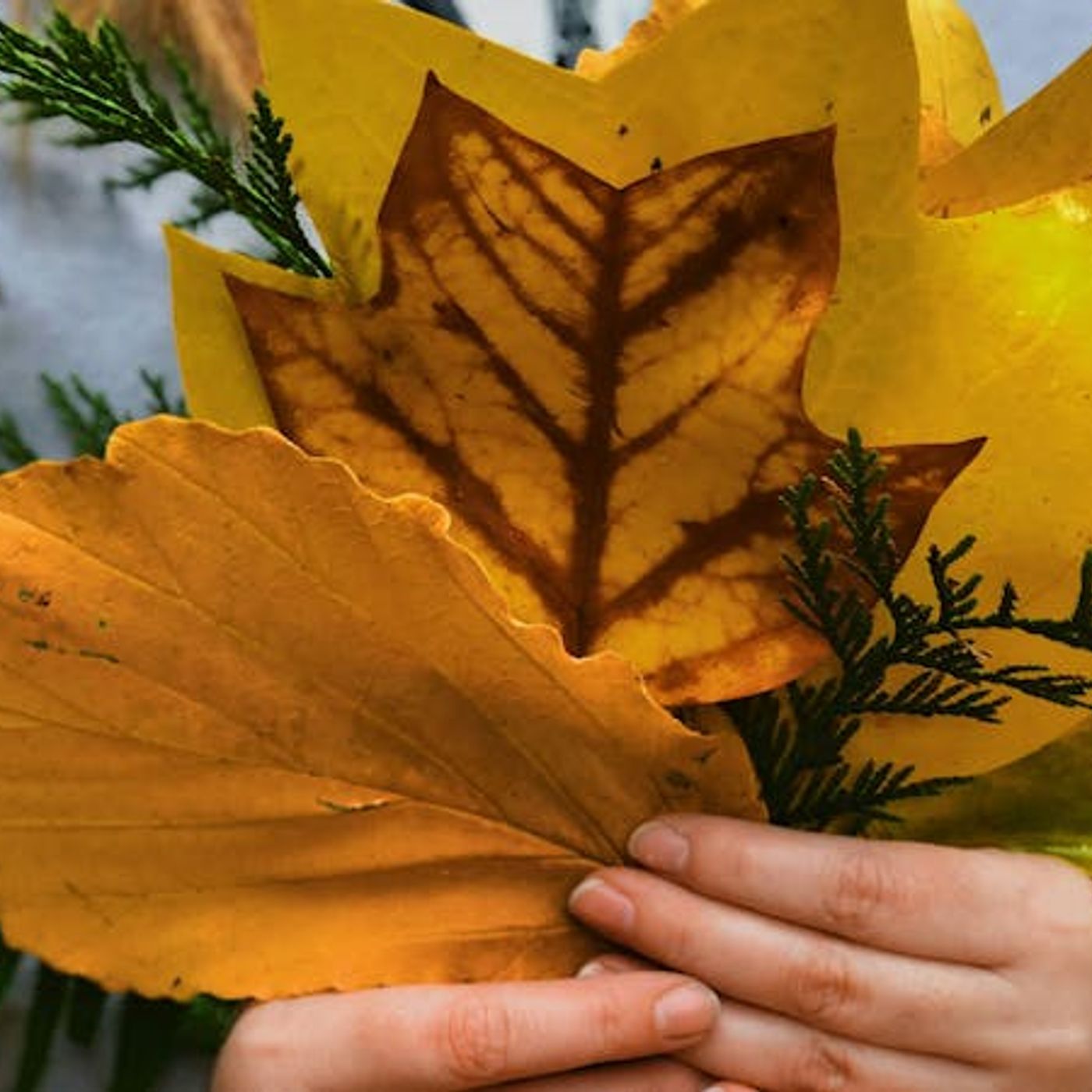 Christian Thankfulness: What It Is (and Isn’t)