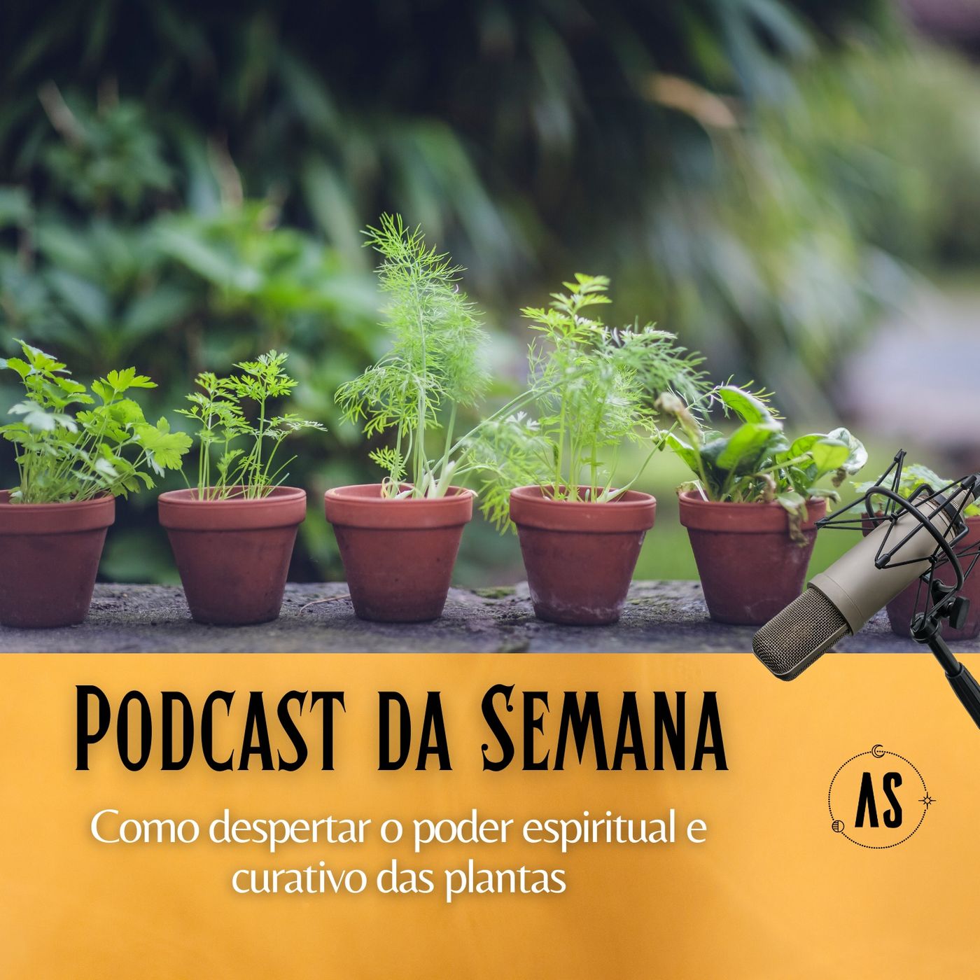 Aparecido SantAnna