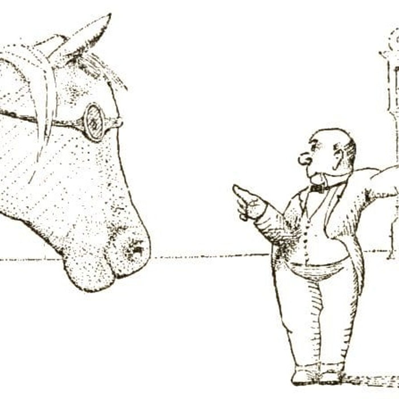 Het verhaal van Dr. Dolittle (Volledig Boek) episode artwork