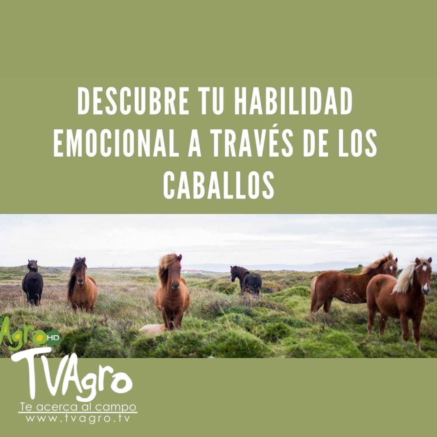 TV AGRO