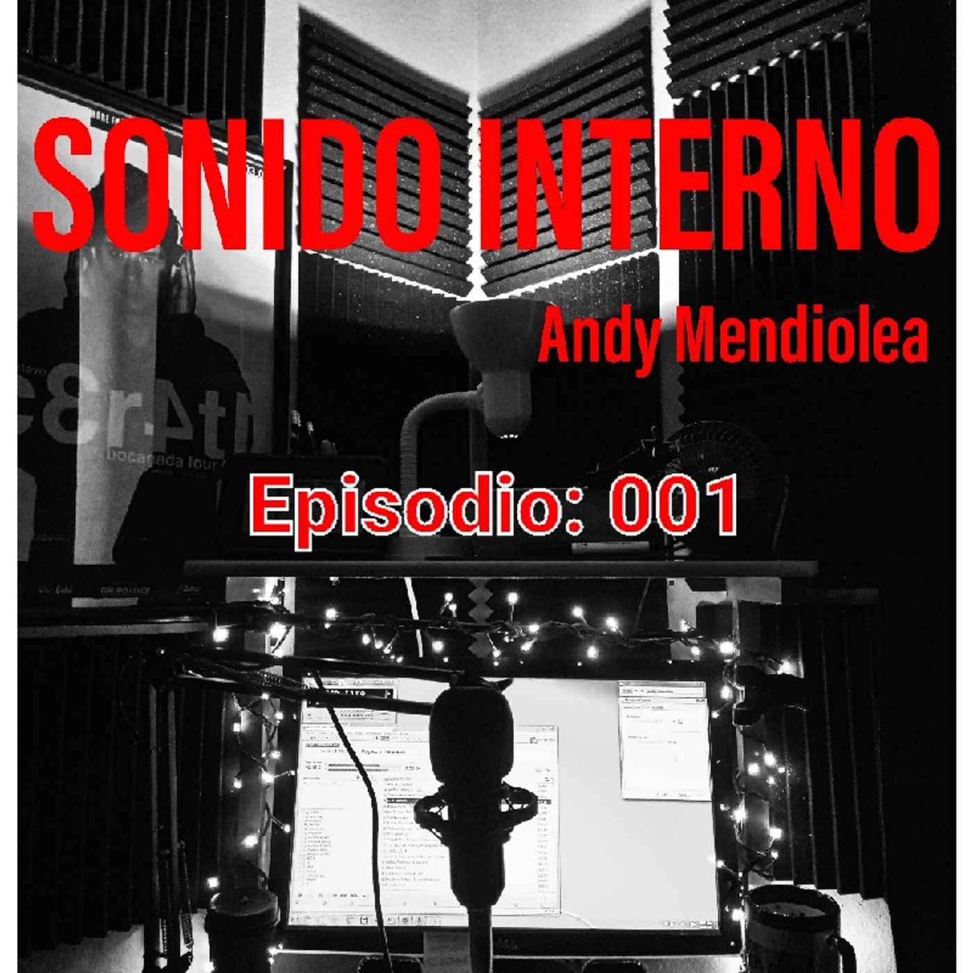 SONIDO INTERNO