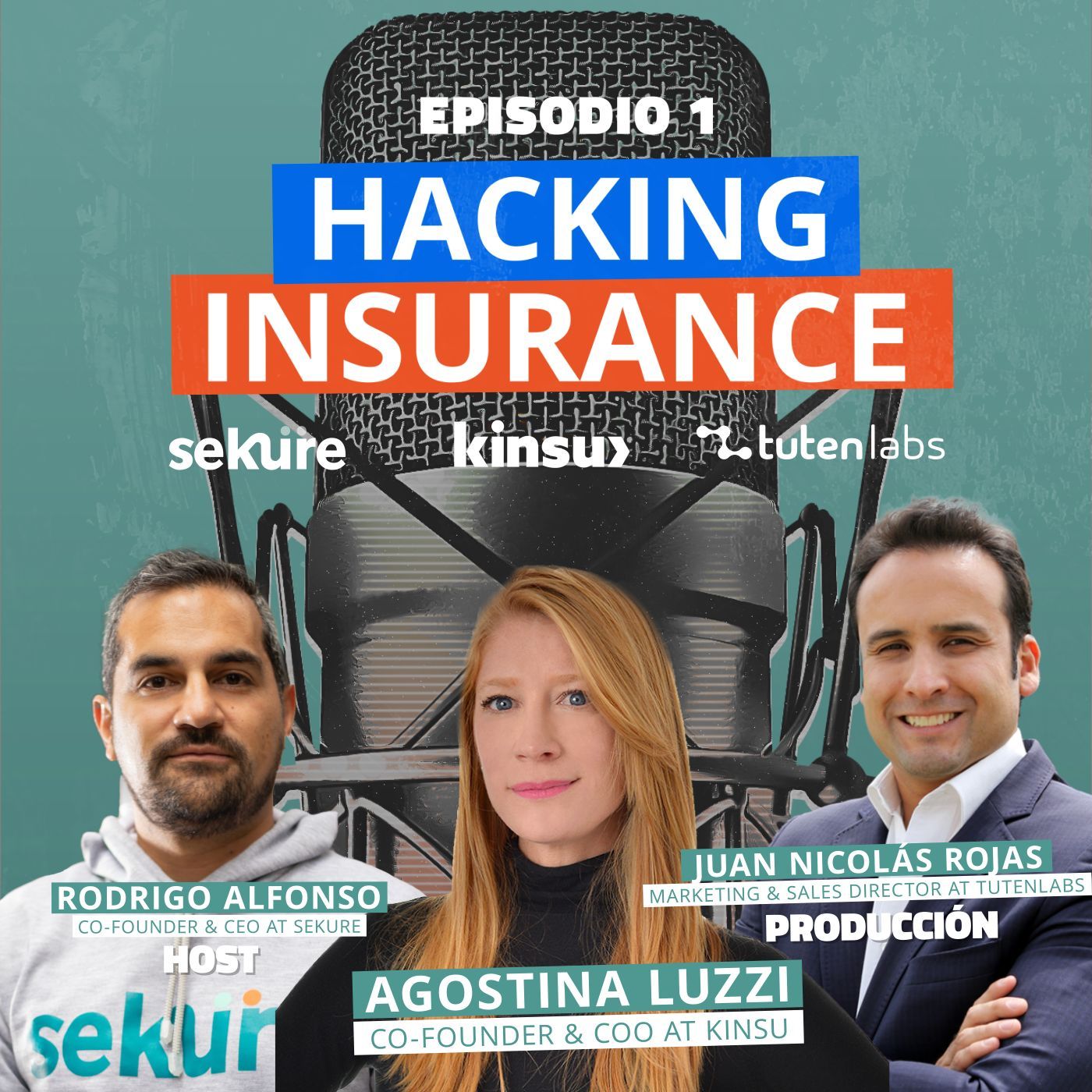 Hacking Insurance