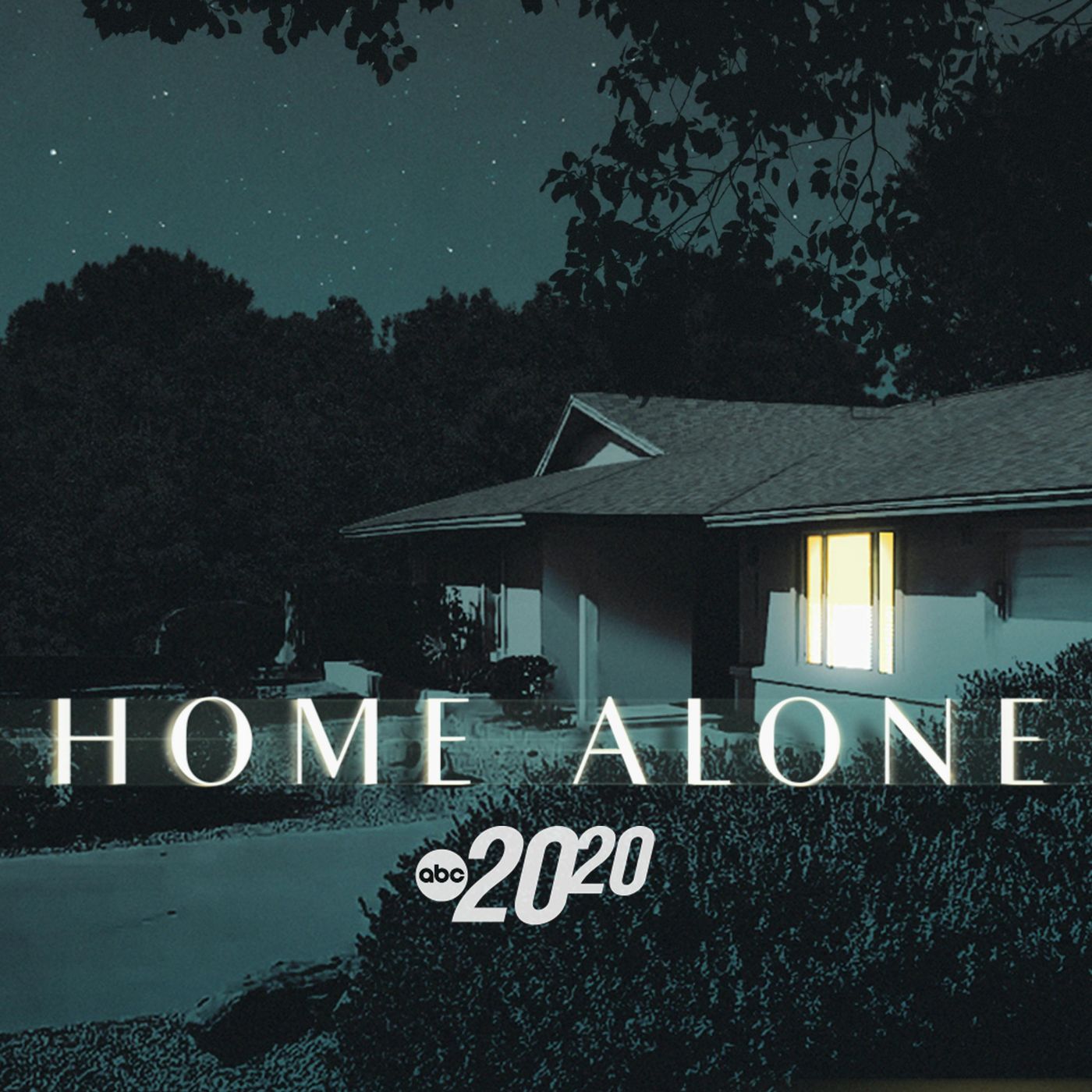 Home Alone