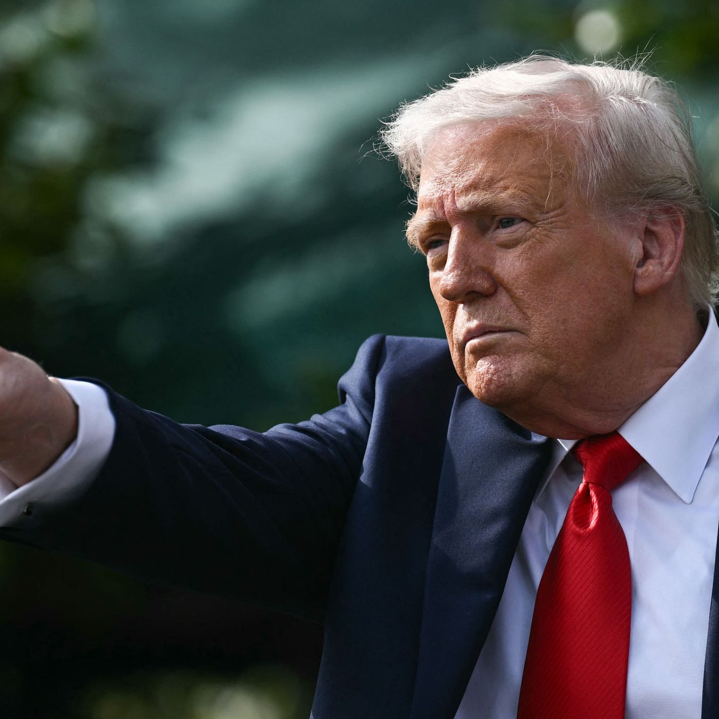 Cronache dal Trump 2