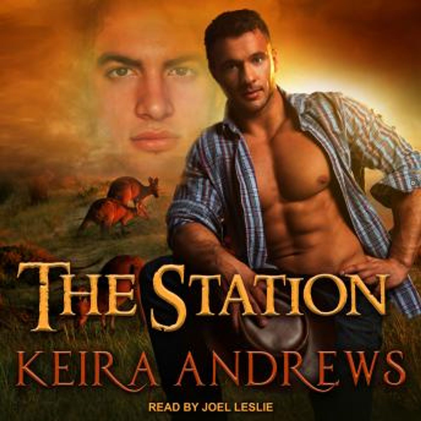 Stream Popular Full Audiobooks in Romance, LGBTQ+