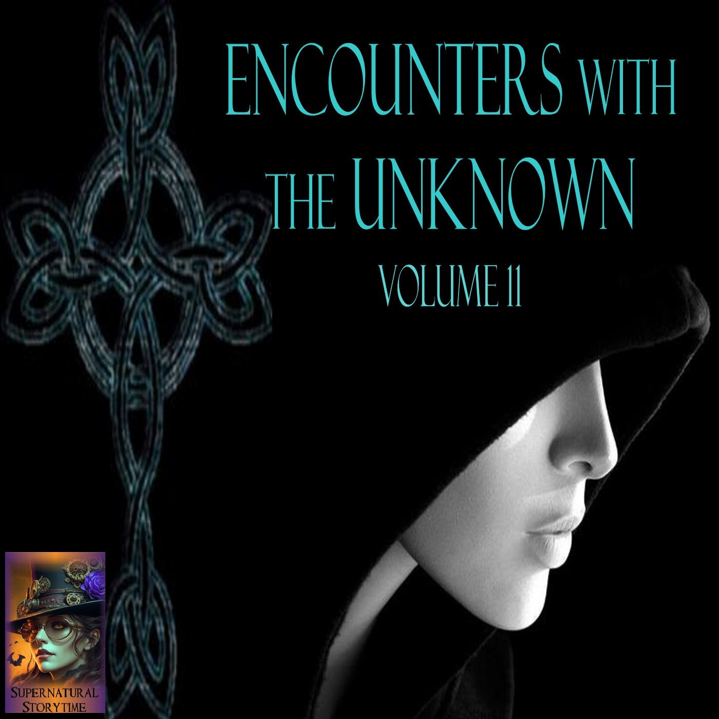 Encounters with the Unknown | Volume 11 | Supernatural StoryTime E398 episode artwork