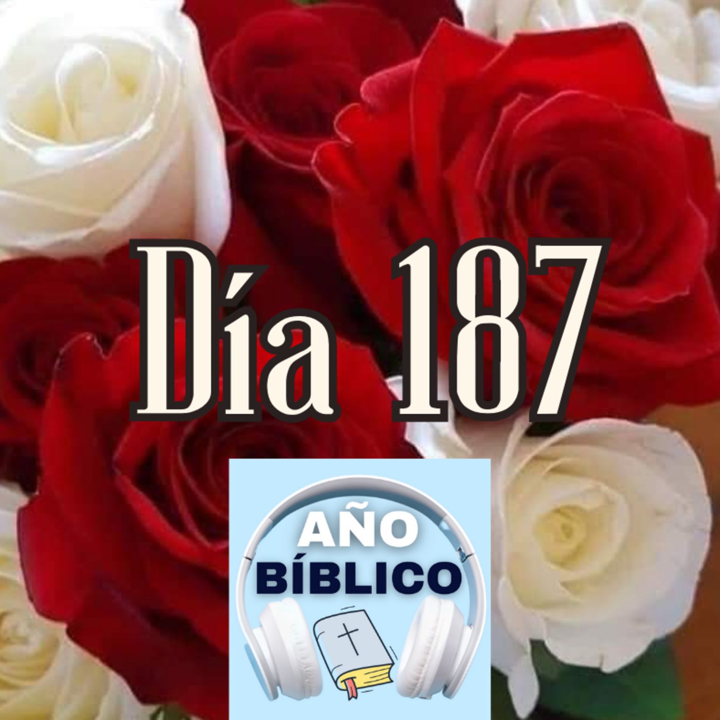 Día 187 - Salmos 78:52-55, 1 Crónicas 29; 2 Crónicas 1 y Romanos 7:14-25 episode artwork