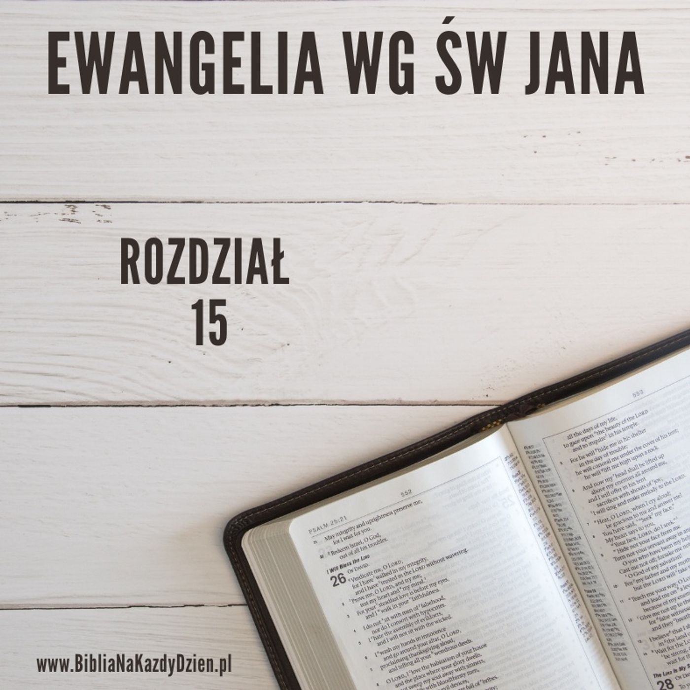 BNKD Ewangelia Jana, rozdział 15 krótki wstęp episode artwork