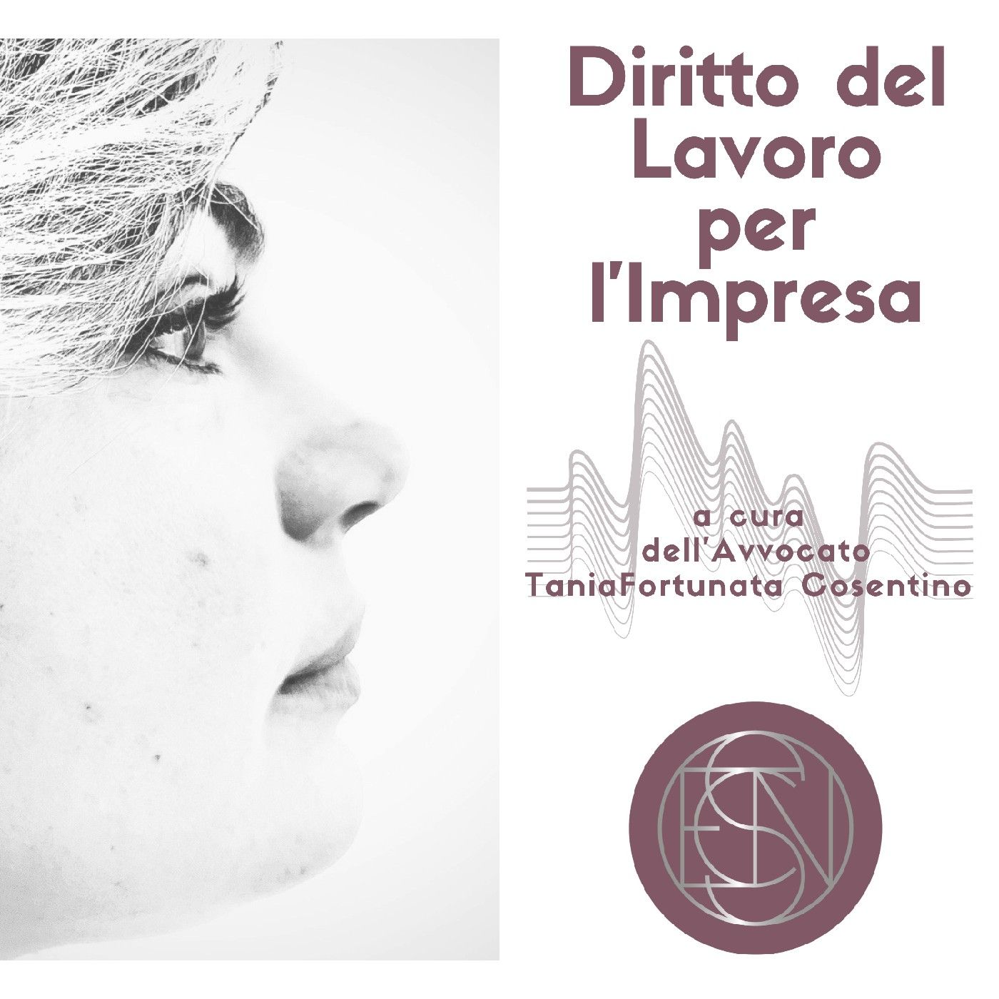 Diritto del Lavoro per l'Impresa cover art