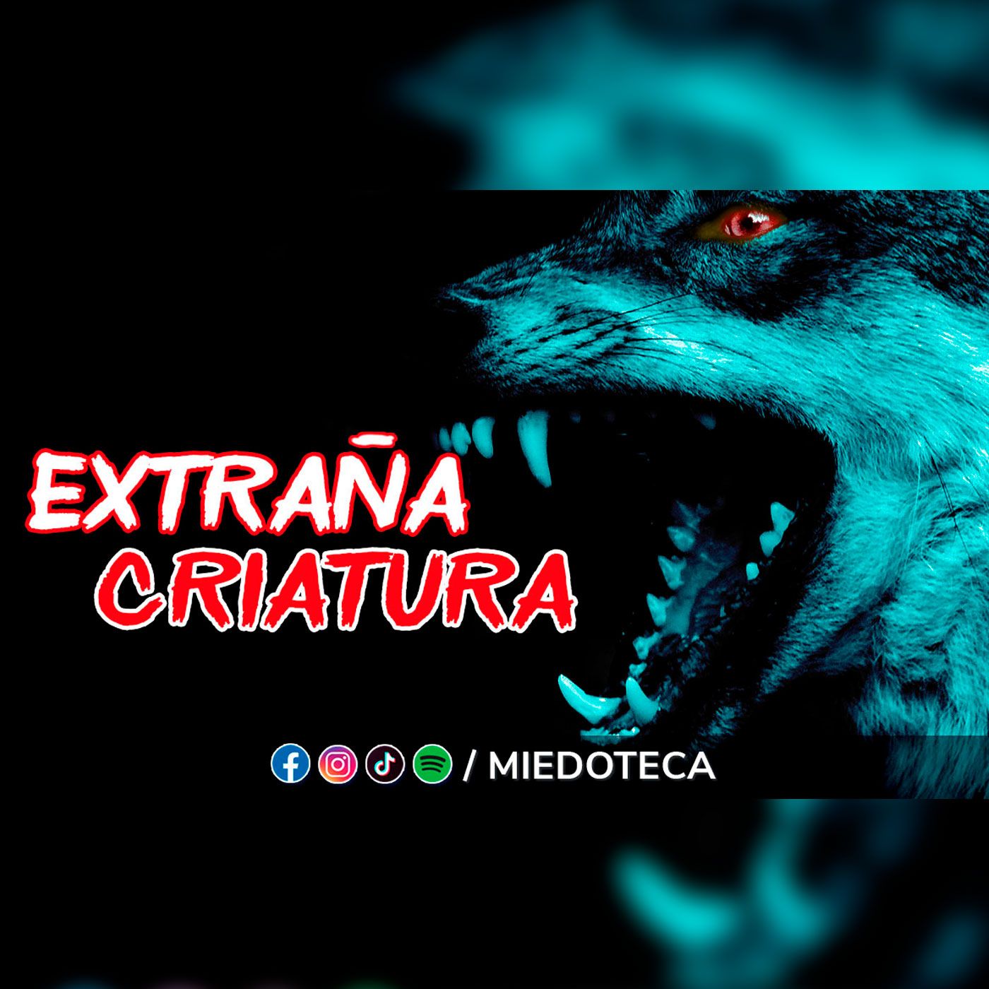 Miedoteca