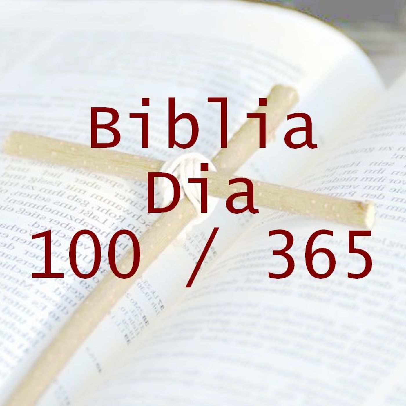 La Biblia en 365 dias