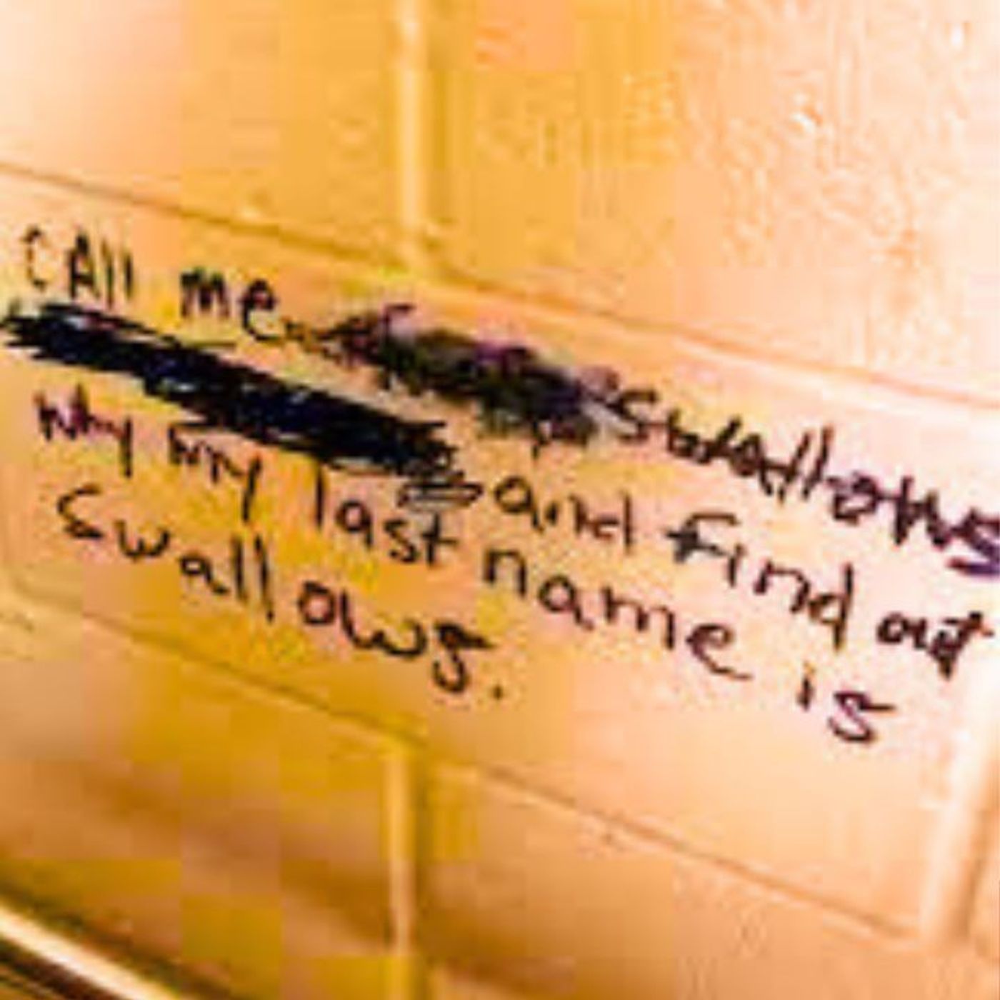 People Who Have Actually Called a Number From the Bathroom Wall, How Did That Go? episode artwork