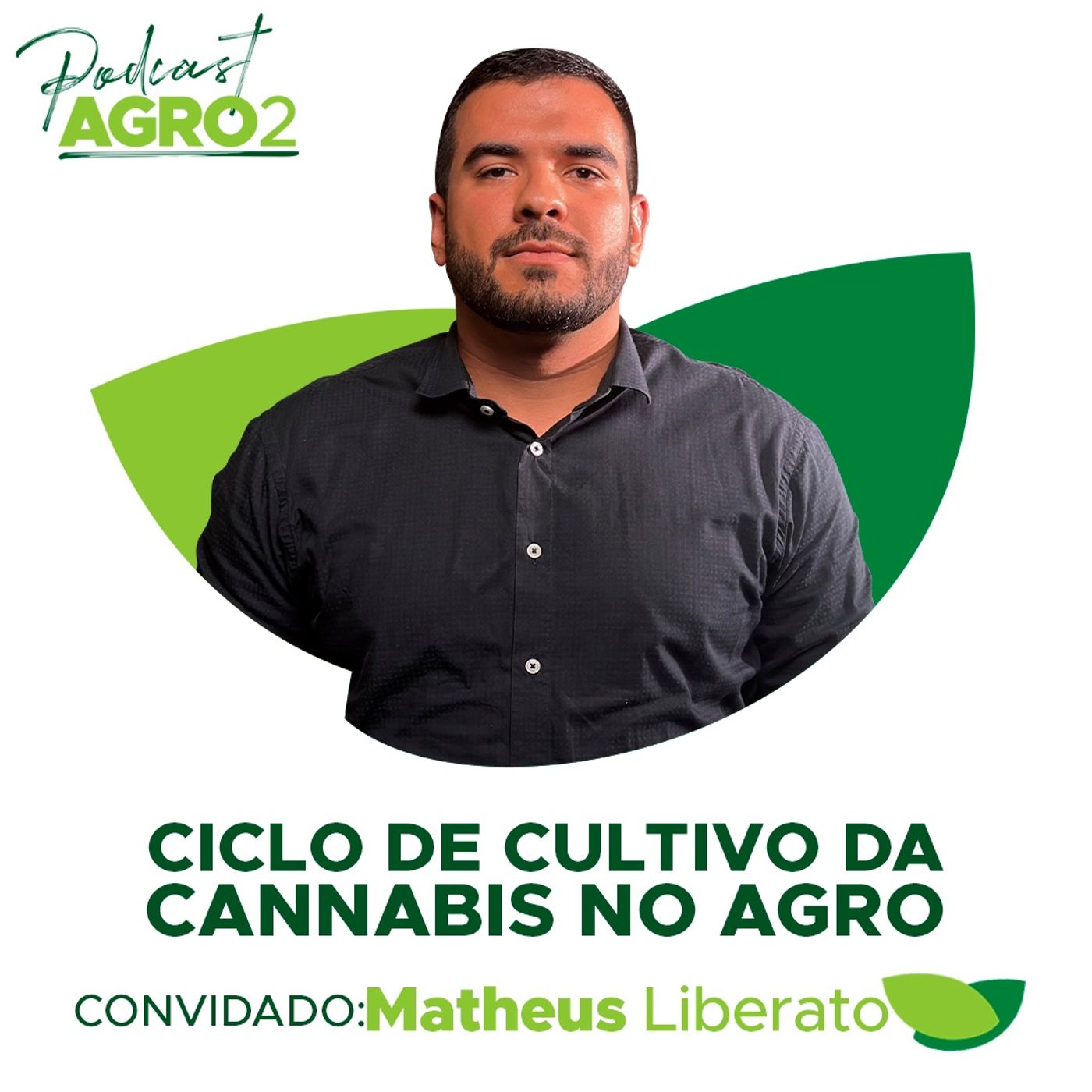 Como o cultivo de cannabis é utilizado para fins industriais? #376 episode artwork