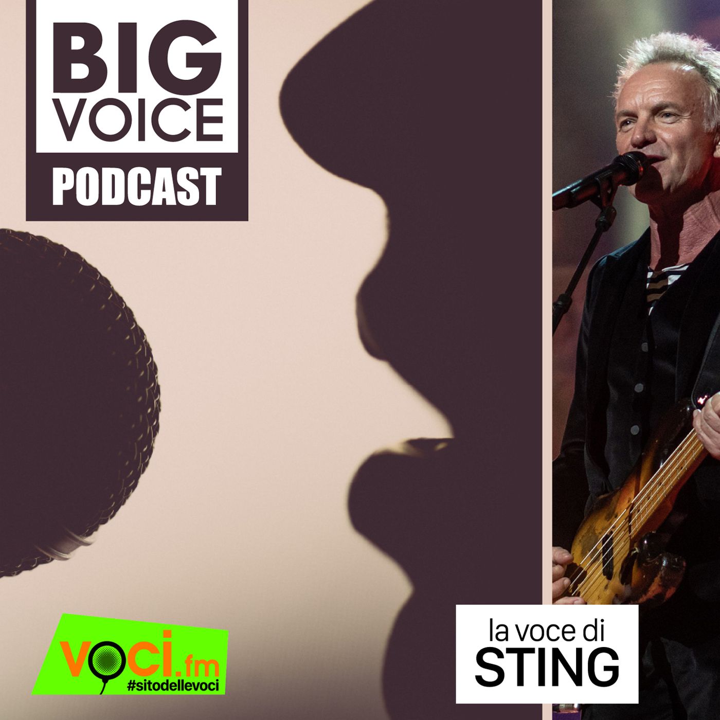 BIG VOICE PODCAST: Sting - clicca play e ascolta il podcast episode artwork