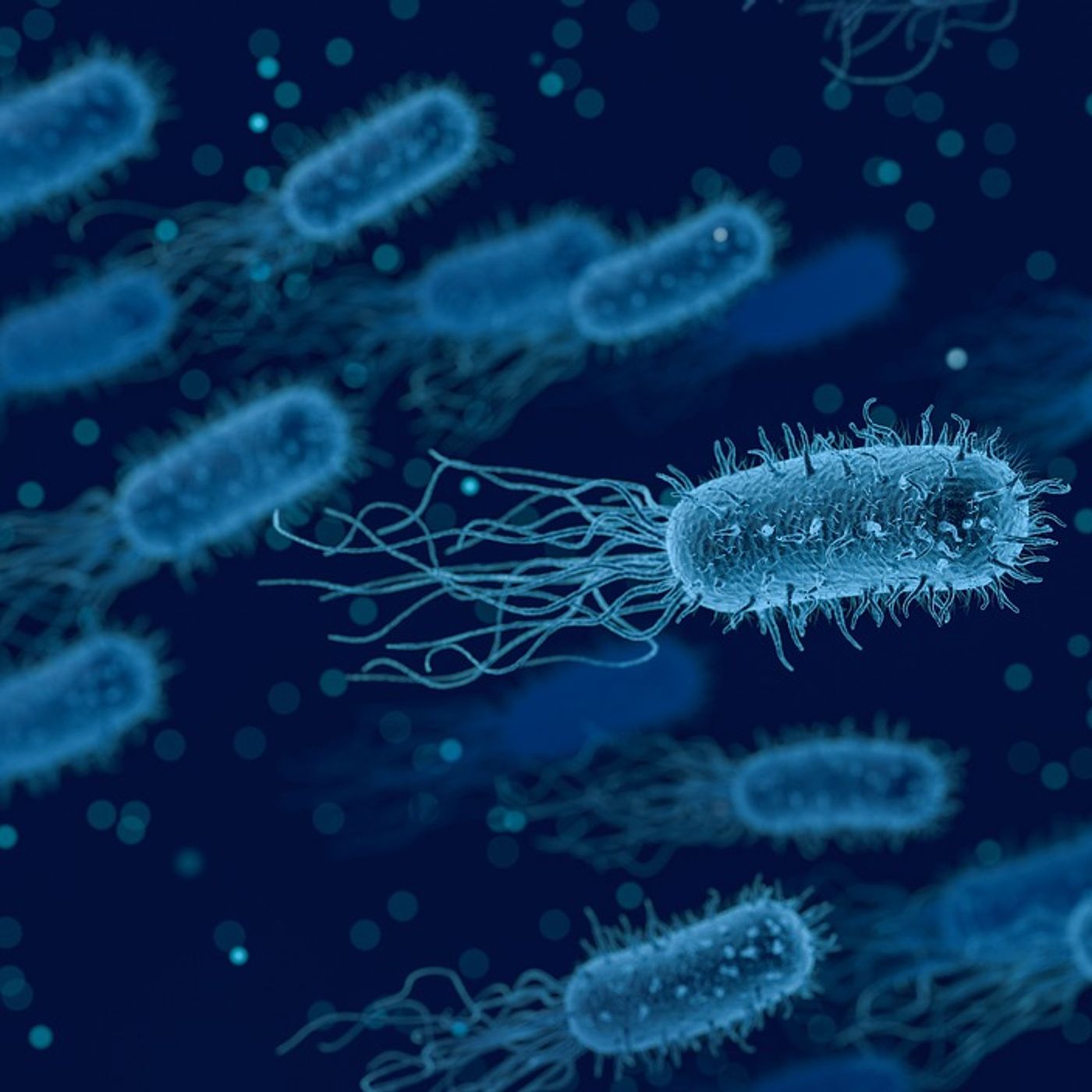 Microbiologia By Leonardo Costa