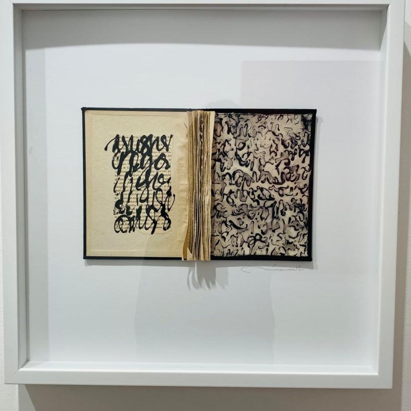Galeria Contrast