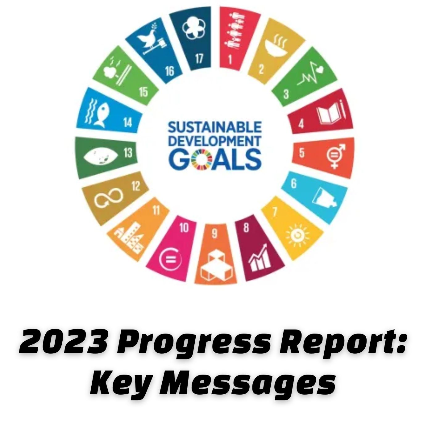 UN SDGs 2023 Progress Report - Key Messages (Audio)