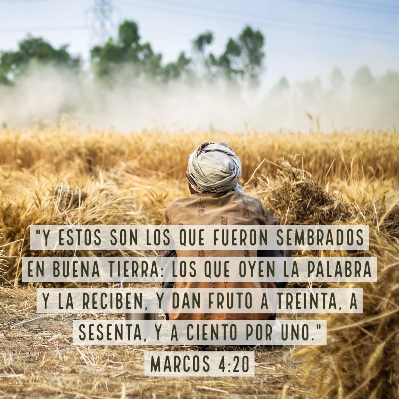 Evangelio de Marcos
