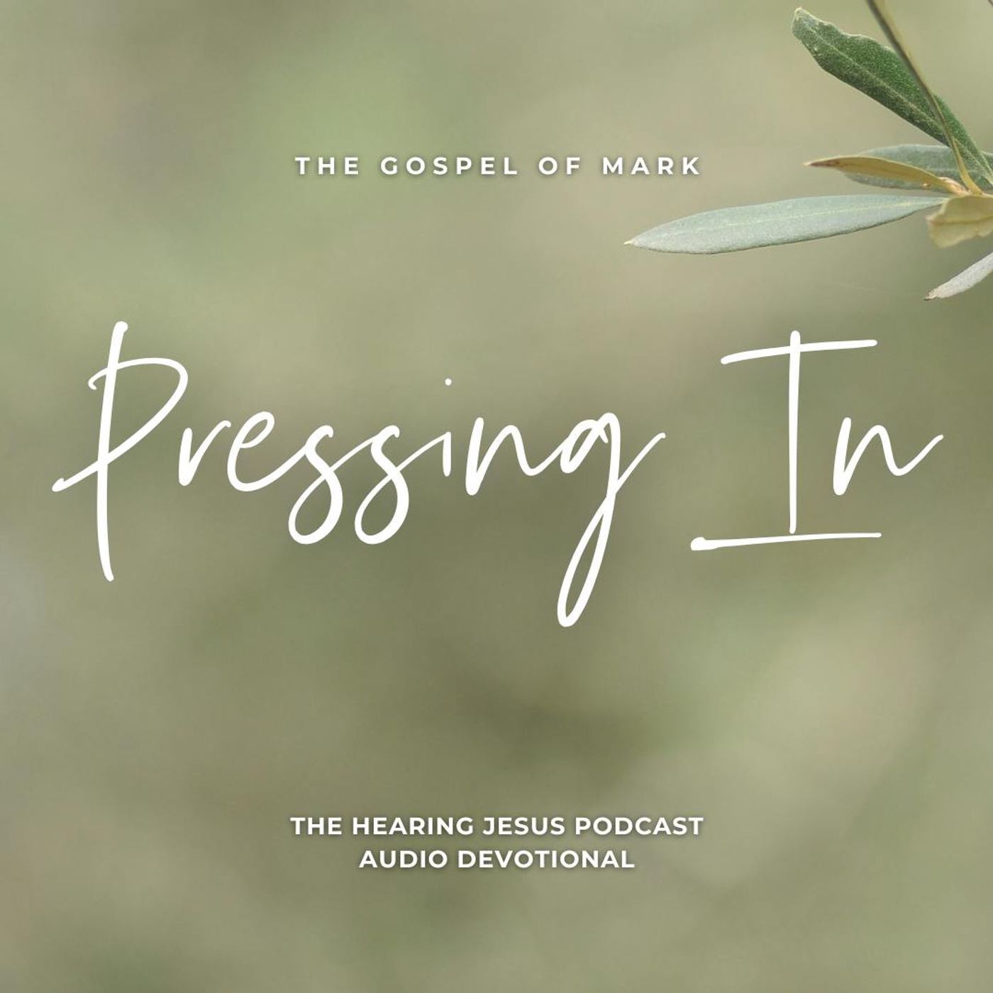 Hearing Jesus: Bible Study, Daily Devotional, Scripture, Faith, Hear from God, Bible, Devotions