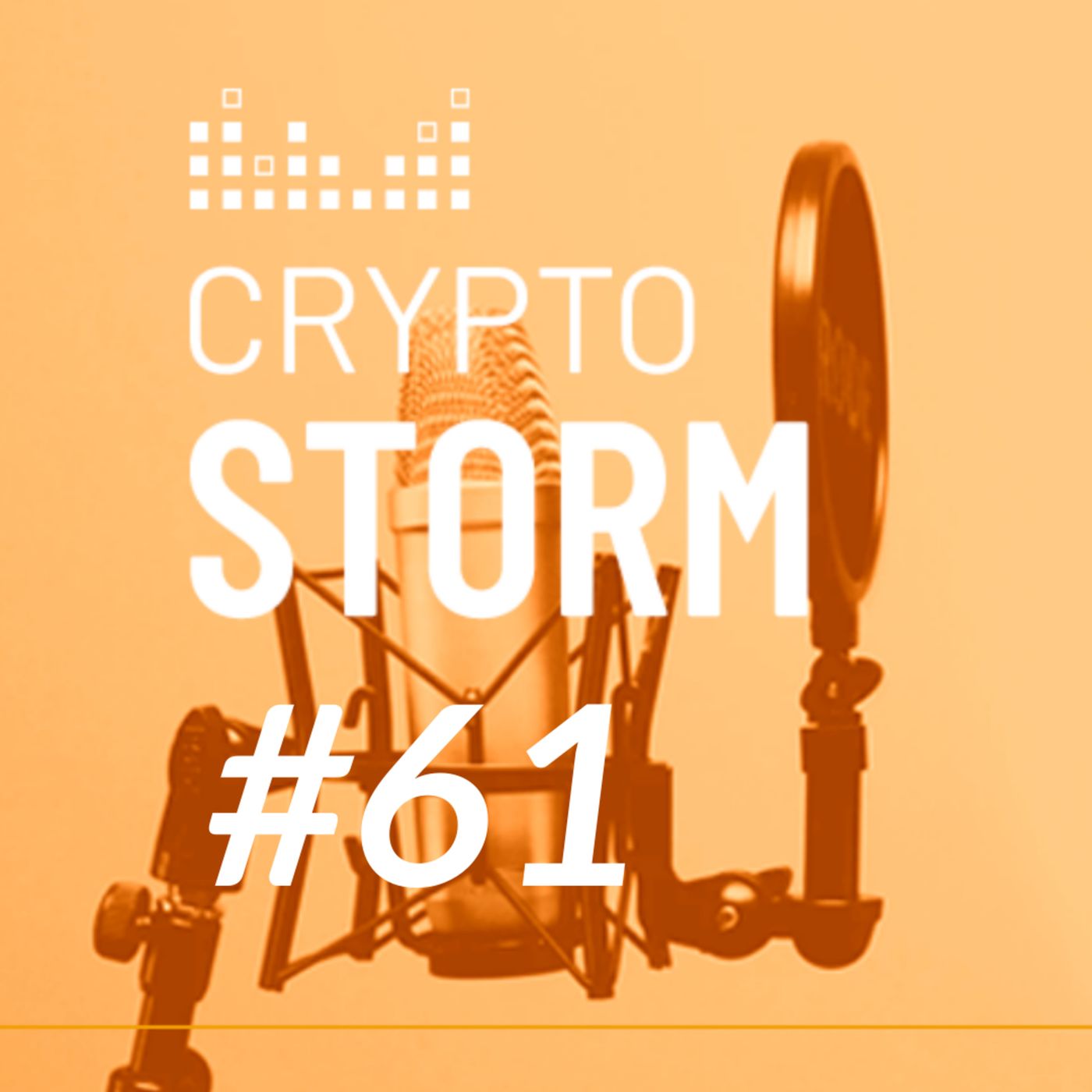 Crypto Storm