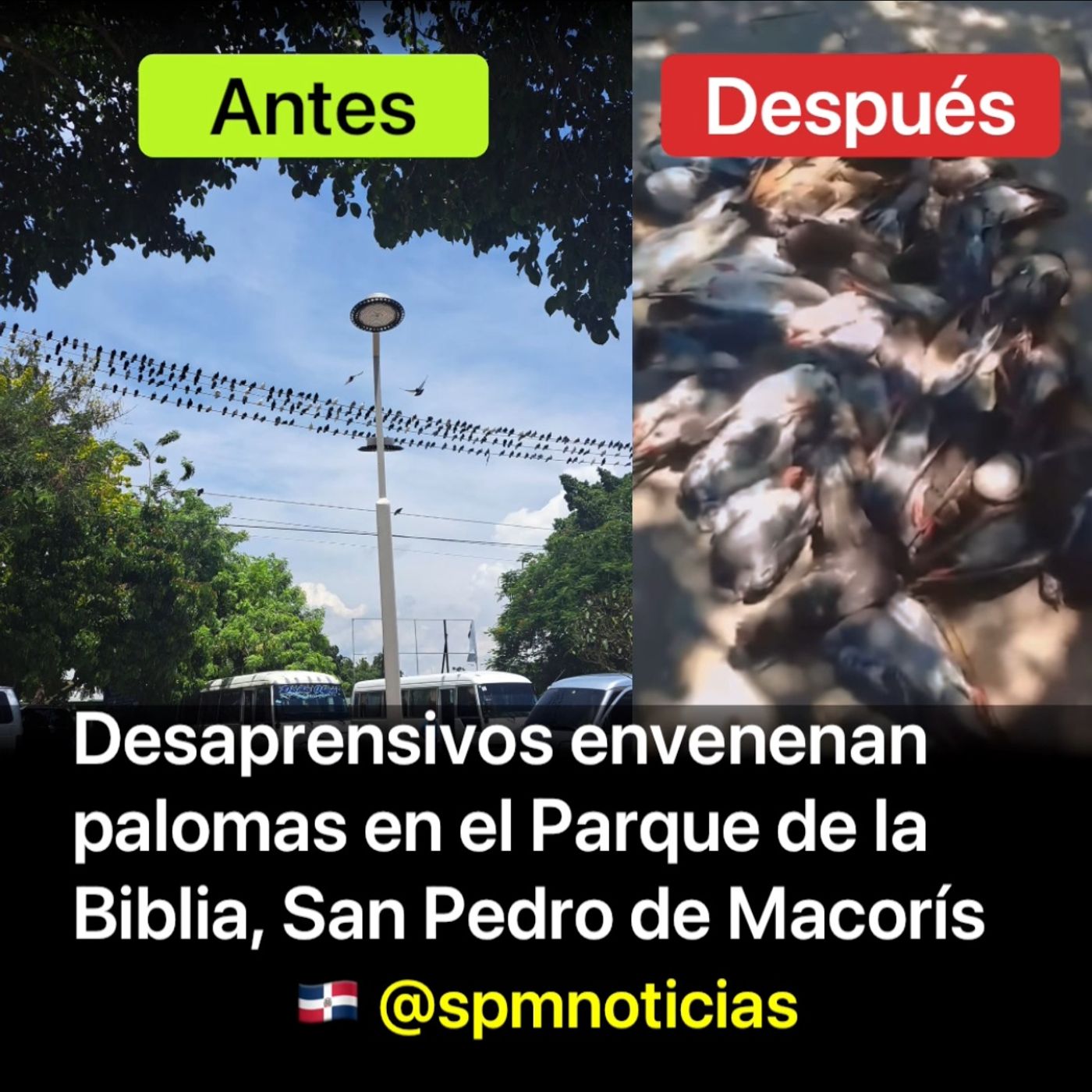 SPM Noticias