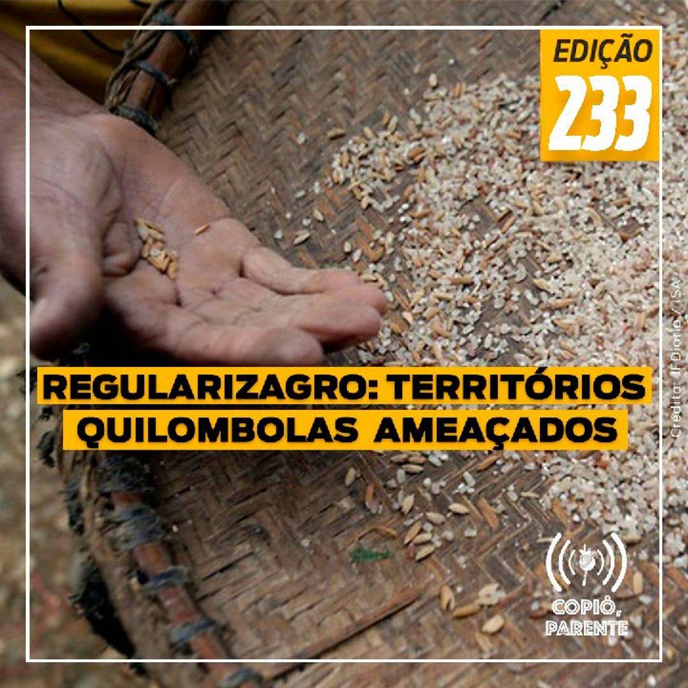 Copiô, parente!