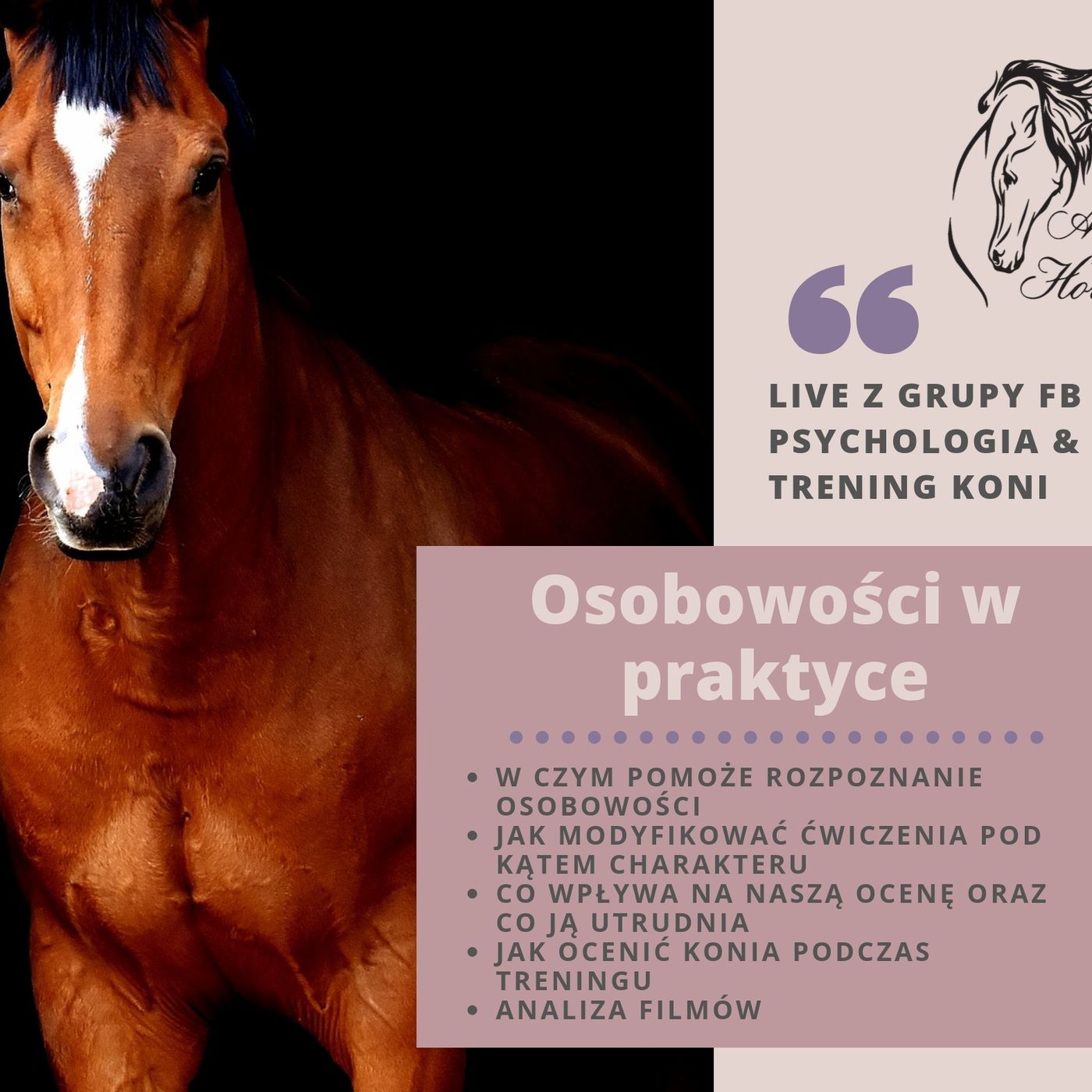 Live 4: Osobowości w Praktyce episode artwork