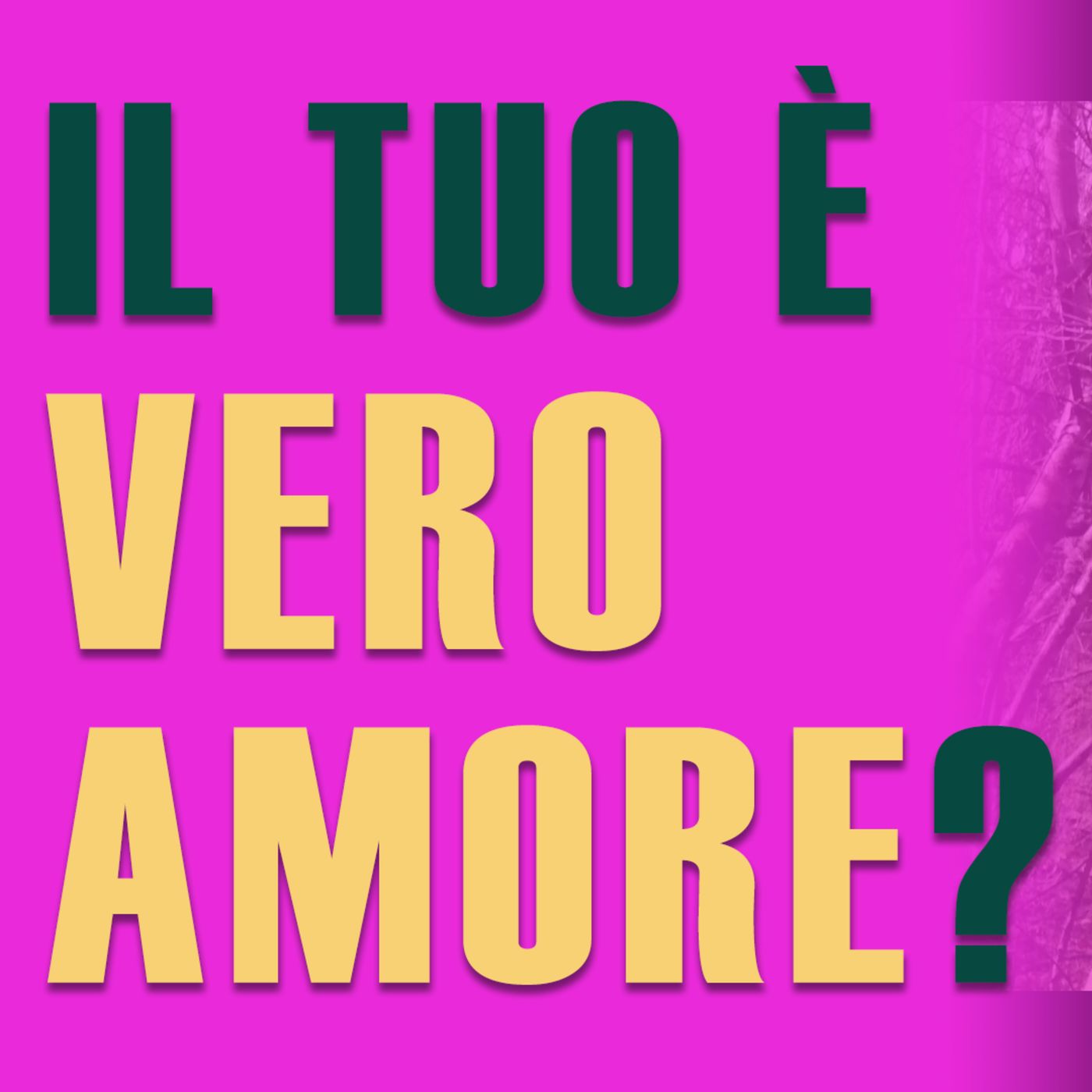 Come si riconosce il vero AMORE? episode artwork