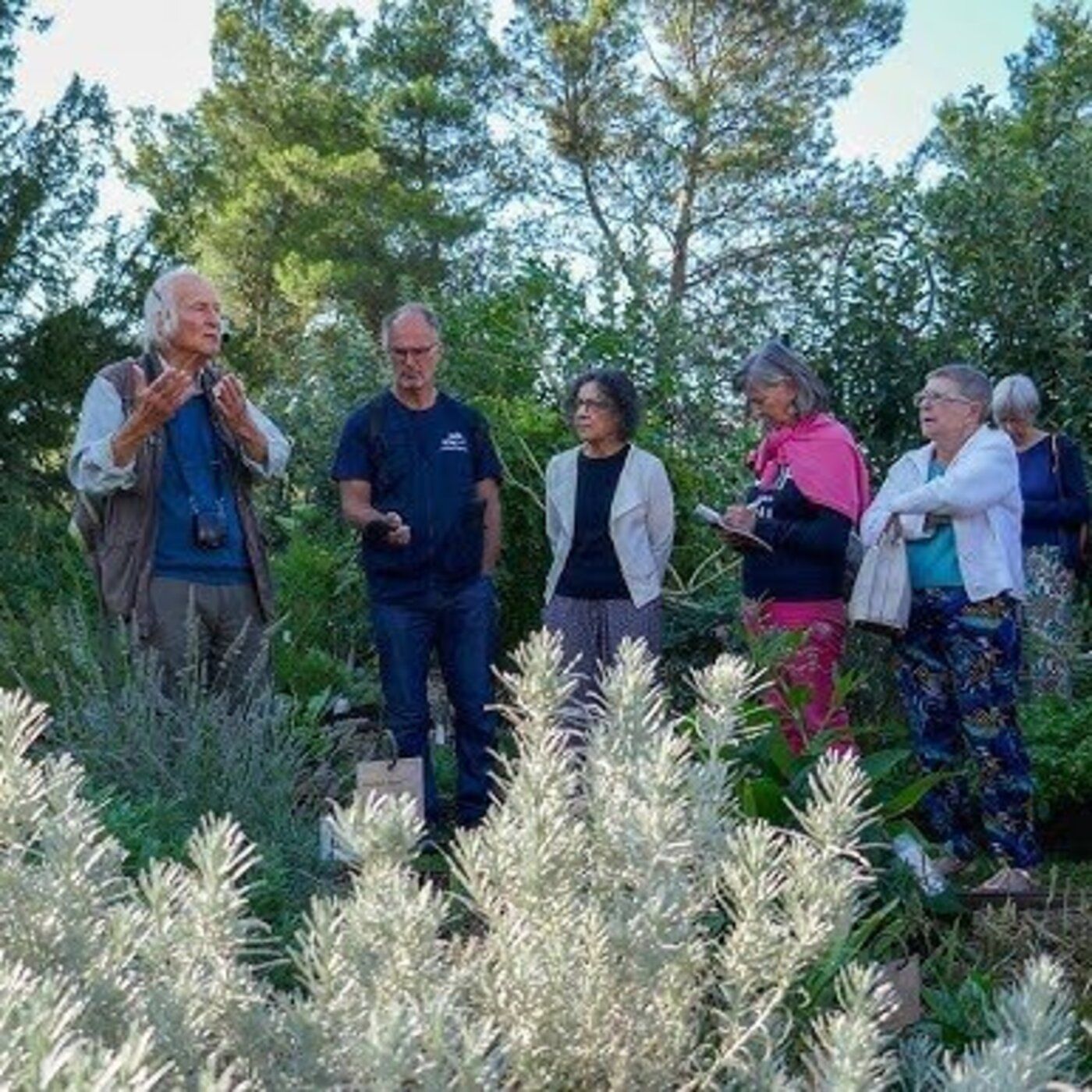 Ballade ethnobotanique avec Alain Renaux : Episode 4 Les Plantes Thérapeutiques