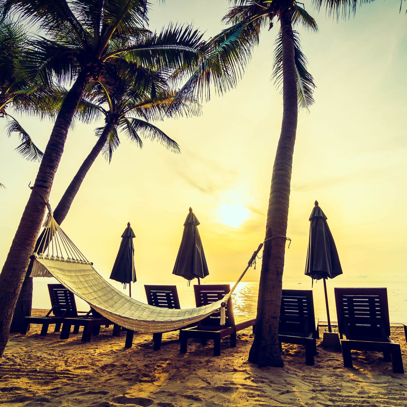 Goa Proposes Social Media Ban for Minors Under 16 episode artwork