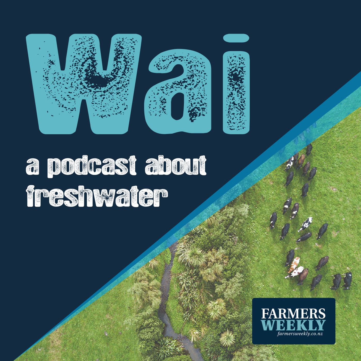 cover of episode The Current State of New Zealand's Freshwater | Episode 1