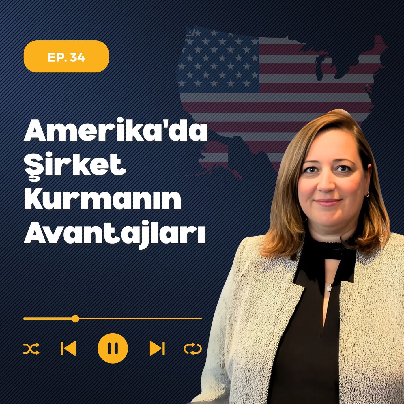 Amerika'da Şirket Kurmanın Avantajları episode artwork
