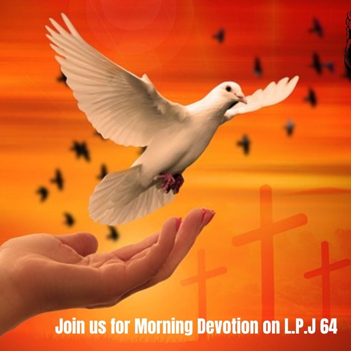 Morning Devotional