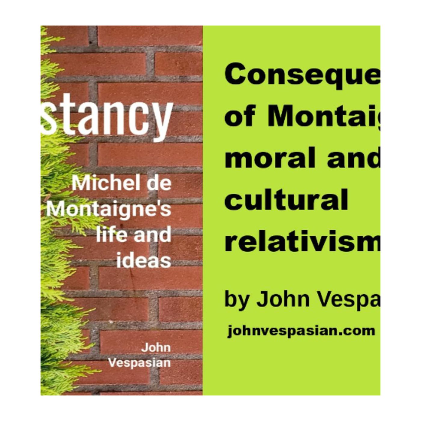 Consequences of Montaigne’s moral and cultural relativism episode artwork