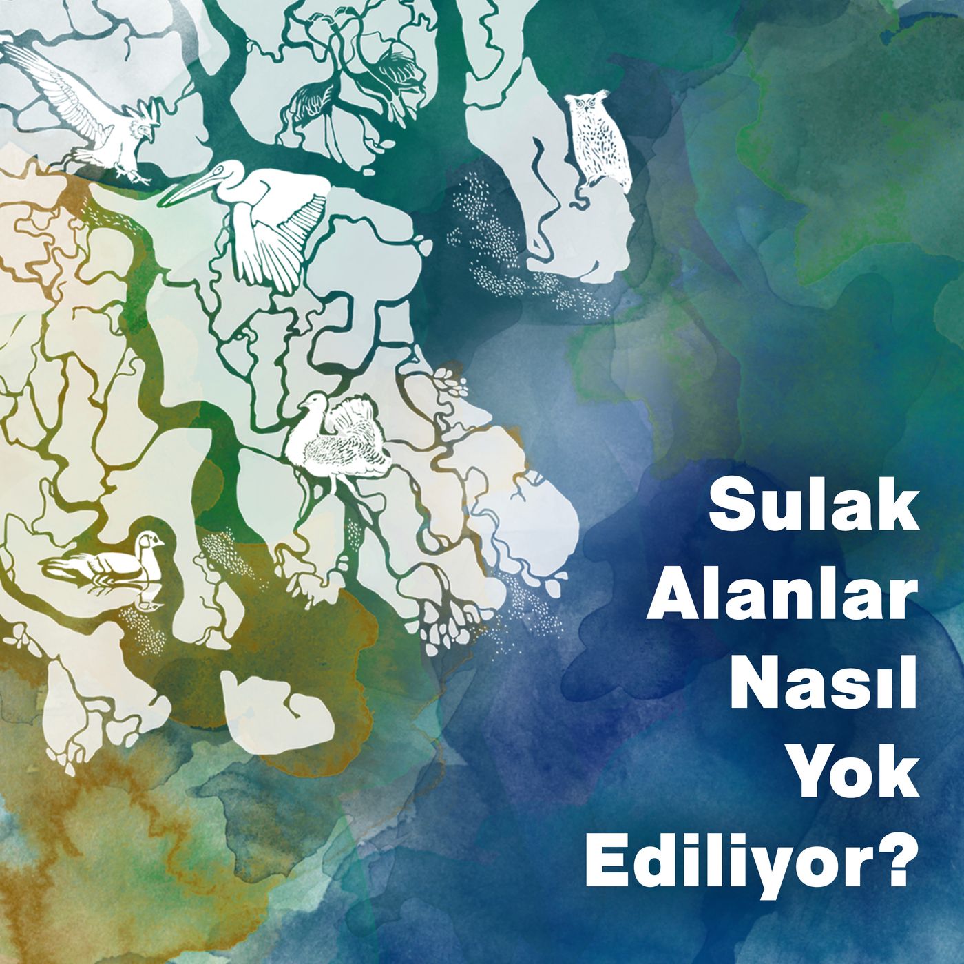 Doğa Sohbetleri