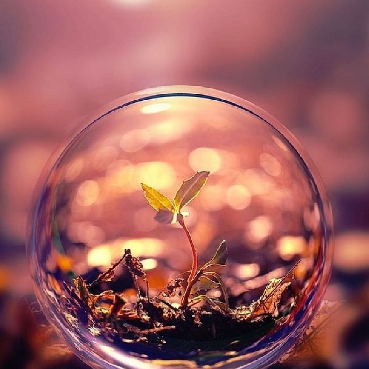 Bright Christopher\'s podcast