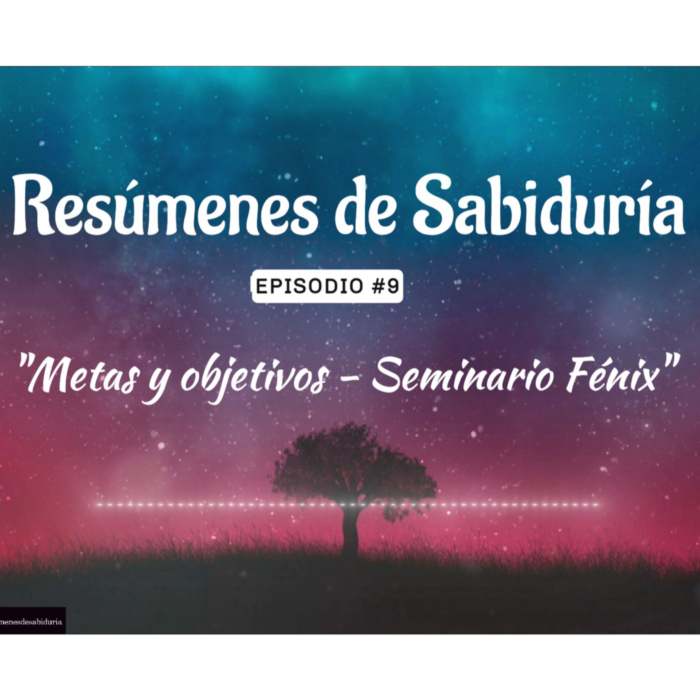 Resumenes de Sabiduria