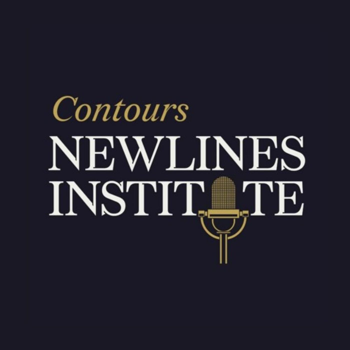 Newlines Institute for Strategy and Policy