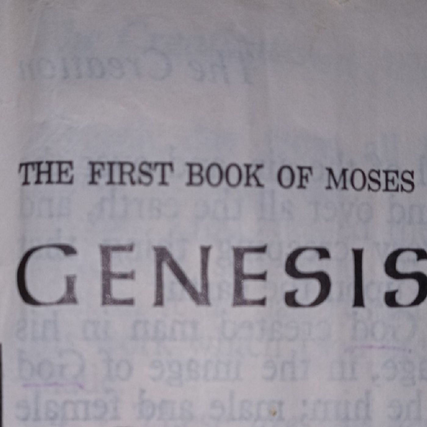 Sabbath Torah Portion Genesis 1 episode artwork