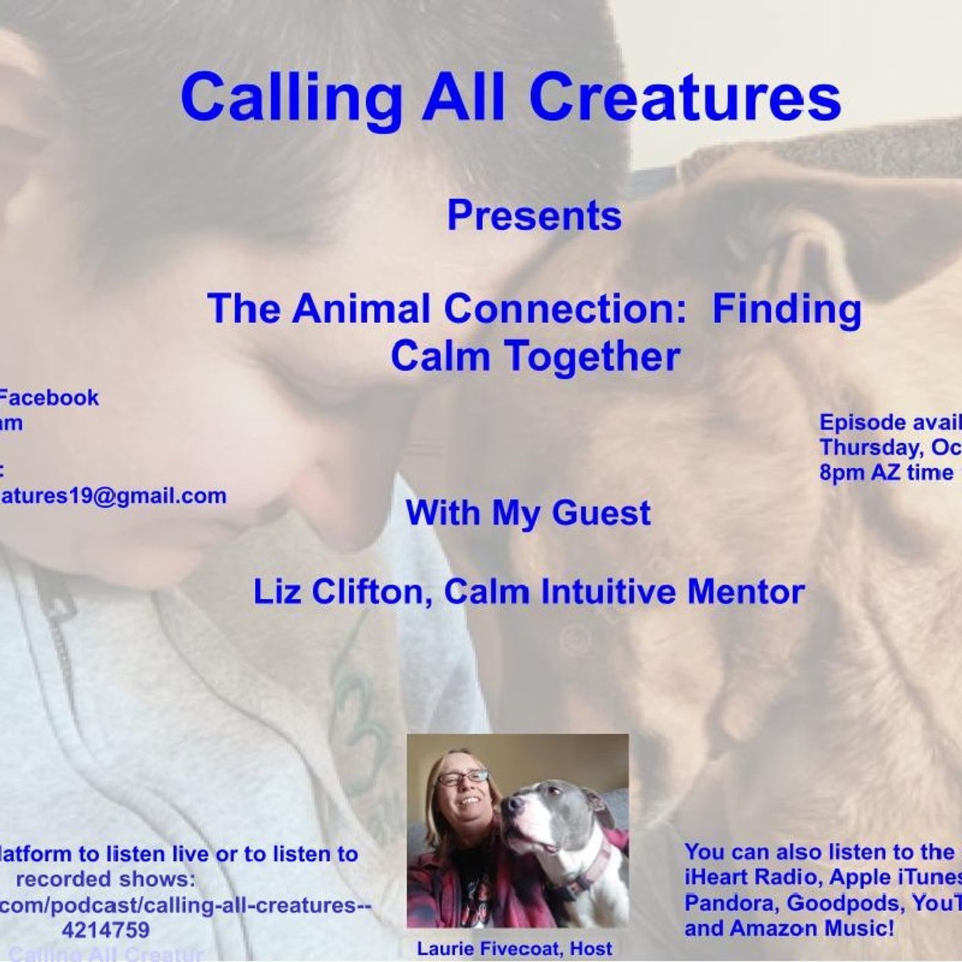 Calling All Creatures Presents The Animal Connection: Finding Calm Together