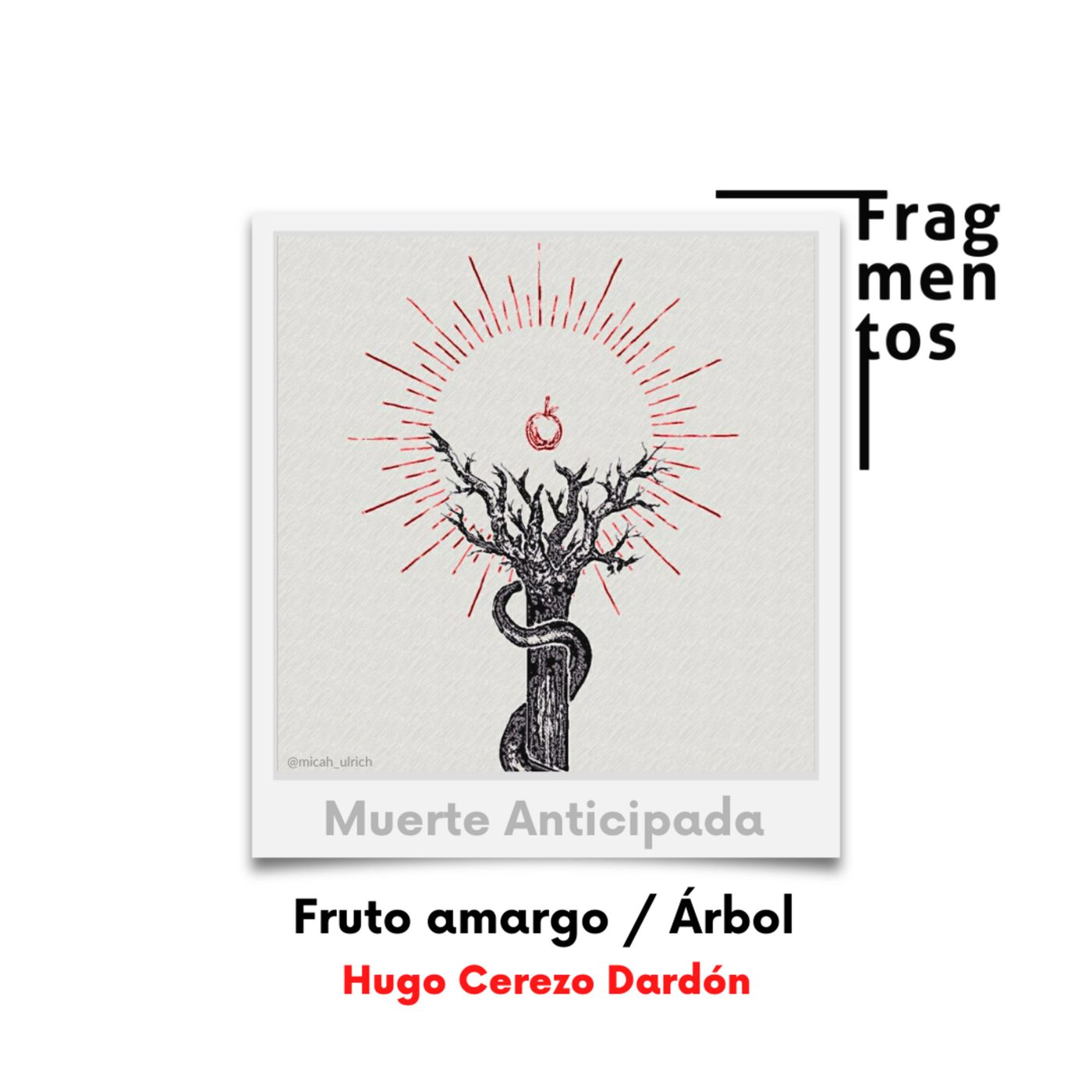 Fragmentos de Poesía