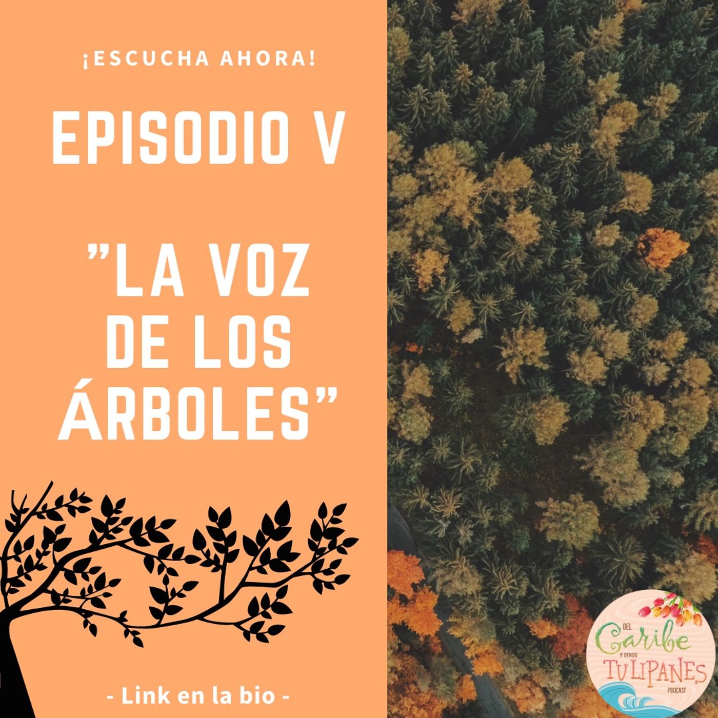 Del Caribe y otros Tulipanes