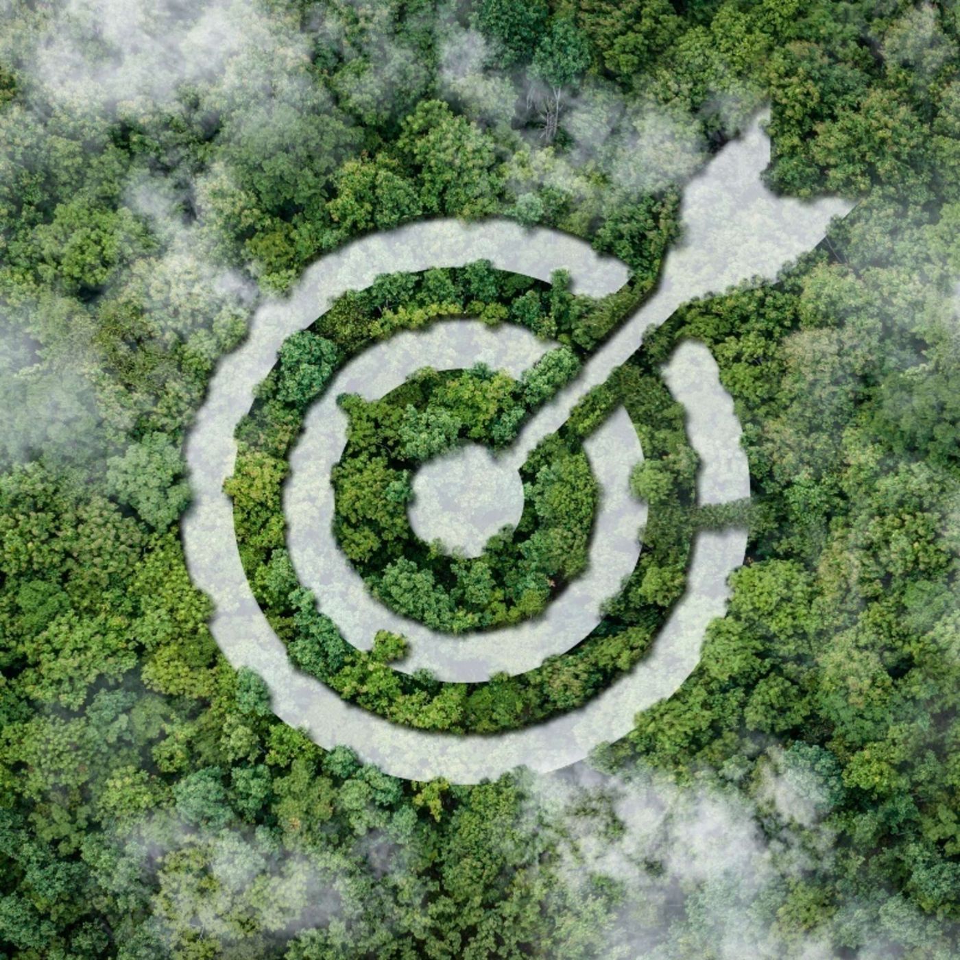 The SEC Lacks Authority to Mandate Climate Concern (Guest: Stone Washington) episode artwork