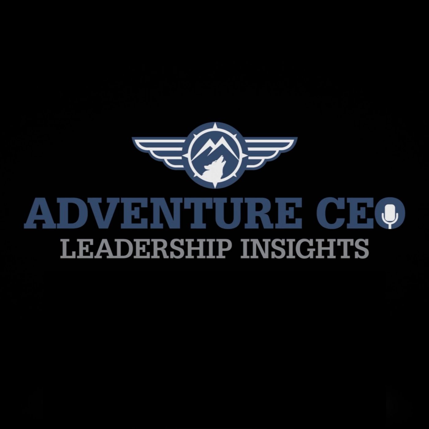 AdventureCEO Leadership Insights