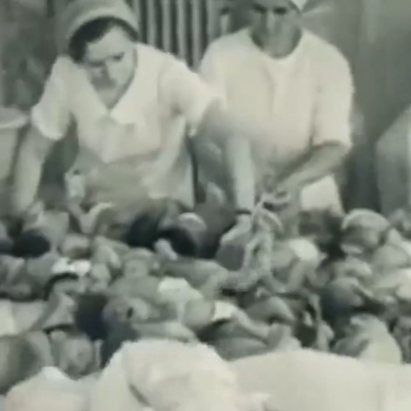 Cuarto Milenio T5: Lebensborn · Machu Pichu