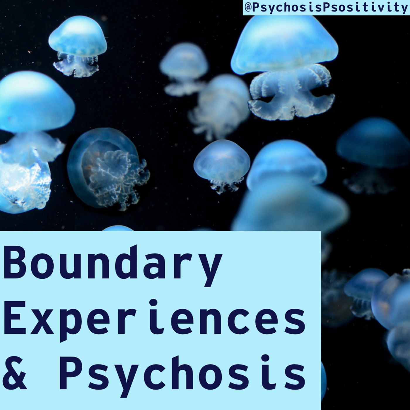 Boundary Experiences & Psychosis