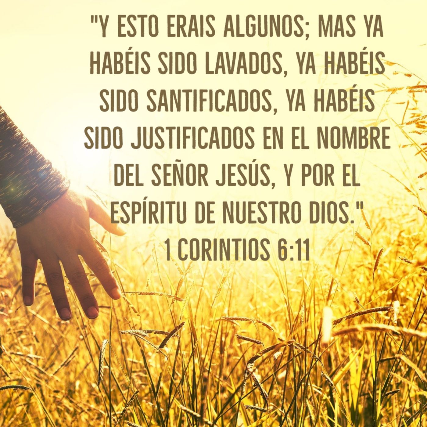 Ministerio UMCD - Un Momento Con Dios | Reflexiones Cristianas