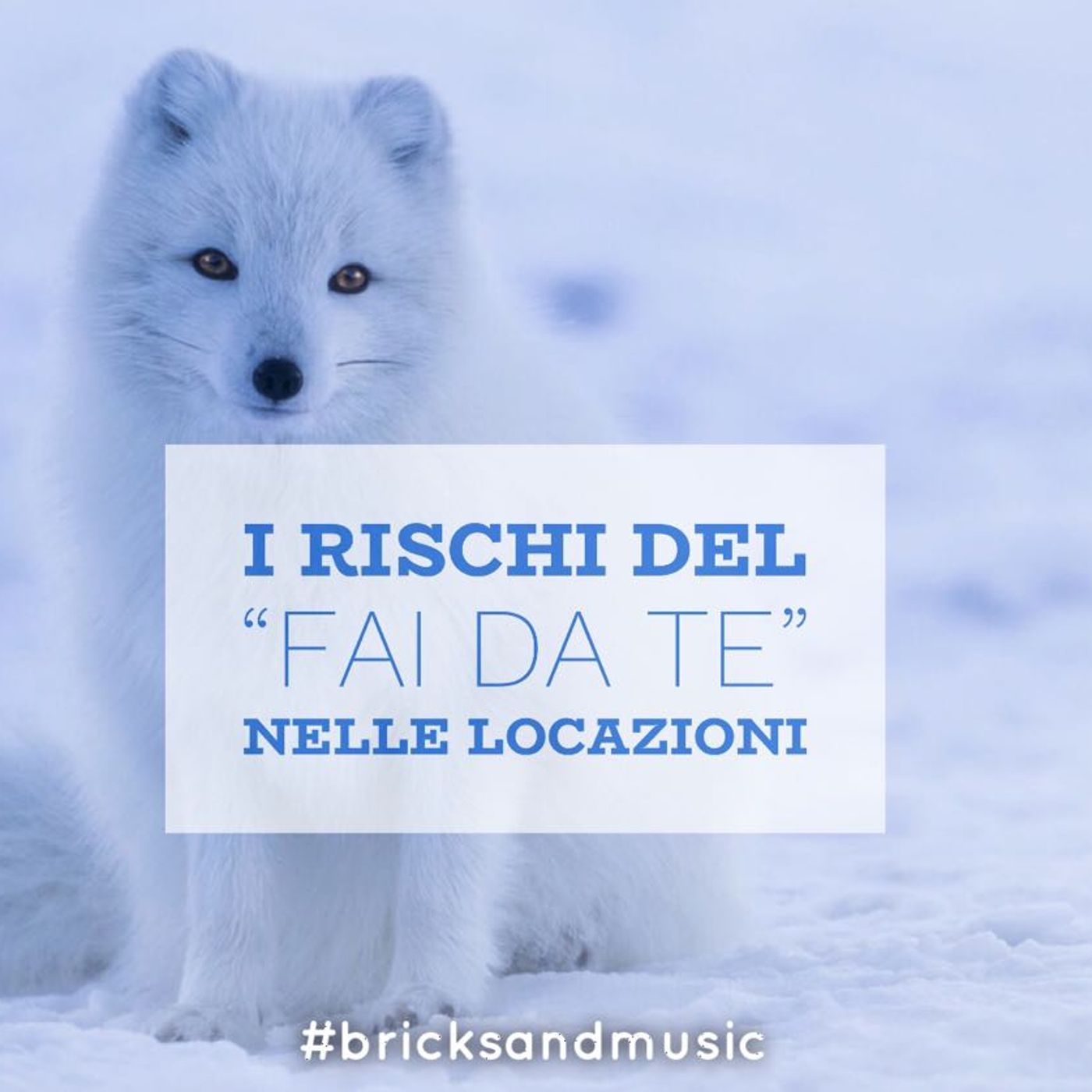 BM - Puntata n. 21 - Rischi del "fai da te" delle locazioni episode artwork